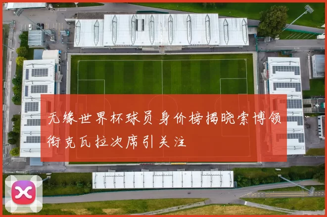 无缘世界杯球员身价榜揭晓索博领衔克瓦拉次席引关注